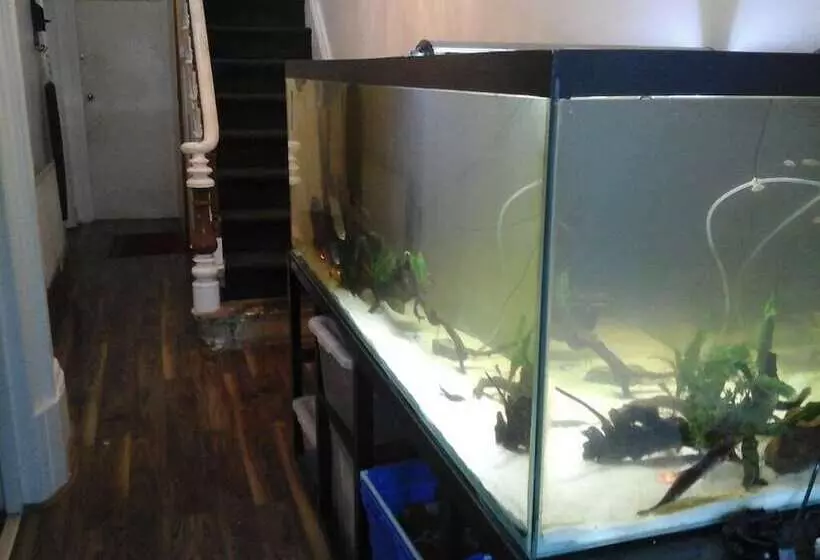 تختخواب و صبحانه Heavenly Nights Guest House