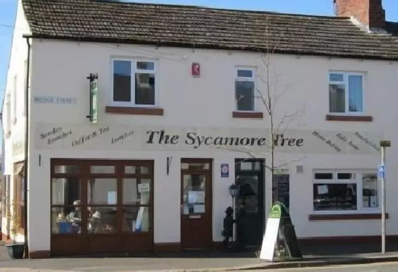 Bed and Breakfast The Sycamore Tree