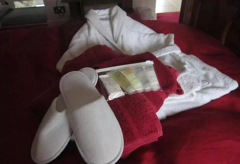 Bed and Breakfast The Sycamore Tree