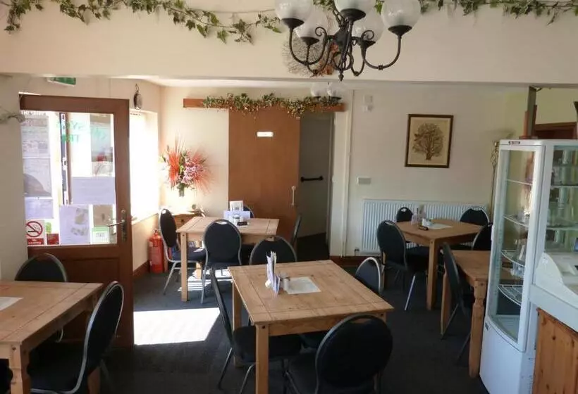 Bed and Breakfast The Sycamore Tree