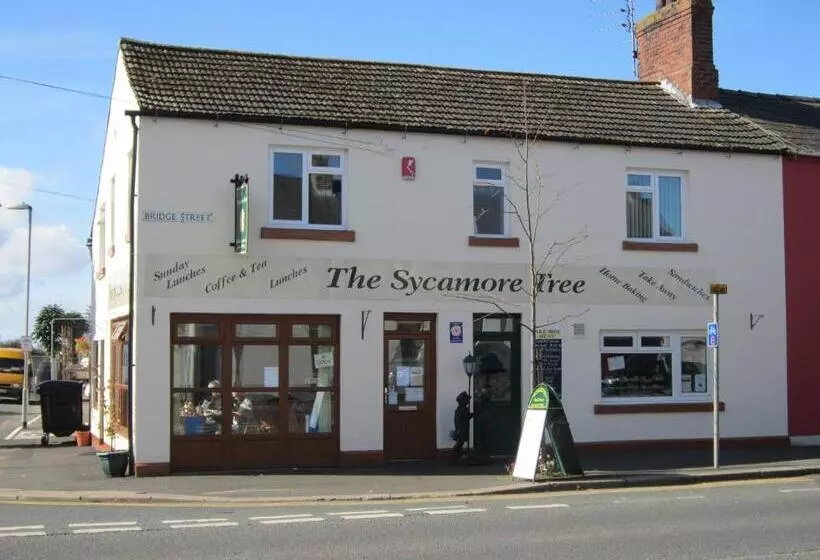 Bed and Breakfast The Sycamore Tree