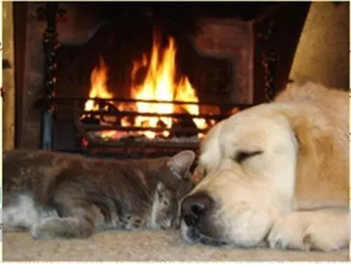 酒店 Double Gate B&b