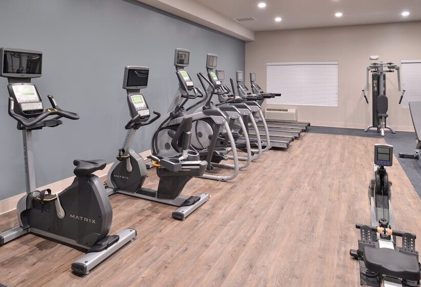 هتل Holiday Inn Express & Suites Houston E Pasadena By Ihg