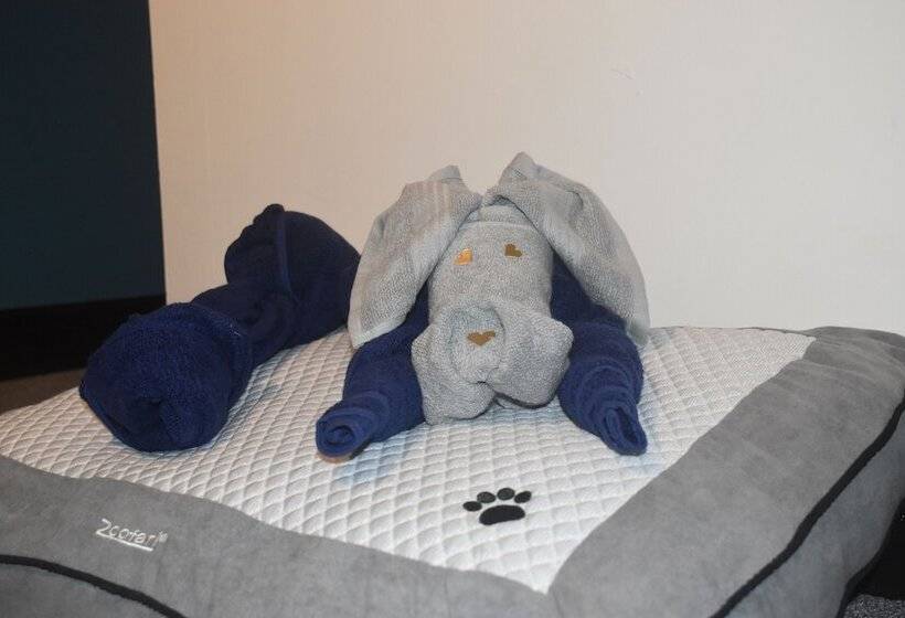 فندق Old Silent Inn