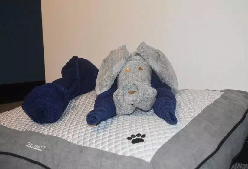 فندق Old Silent Inn