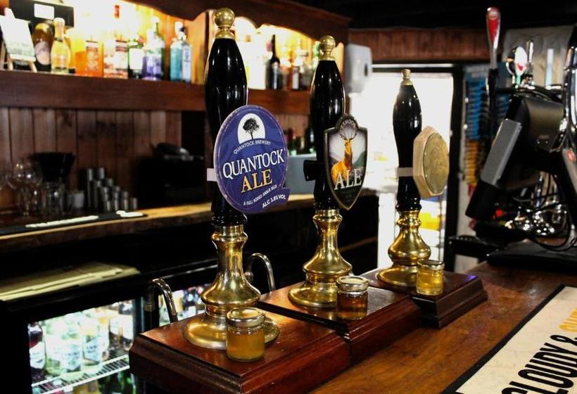 فندق The Ancient Mariner