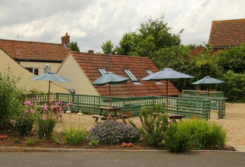 فندق The Ancient Mariner