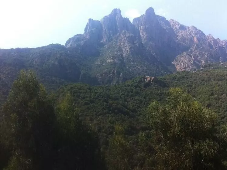 Logis Hotel Le Lonca