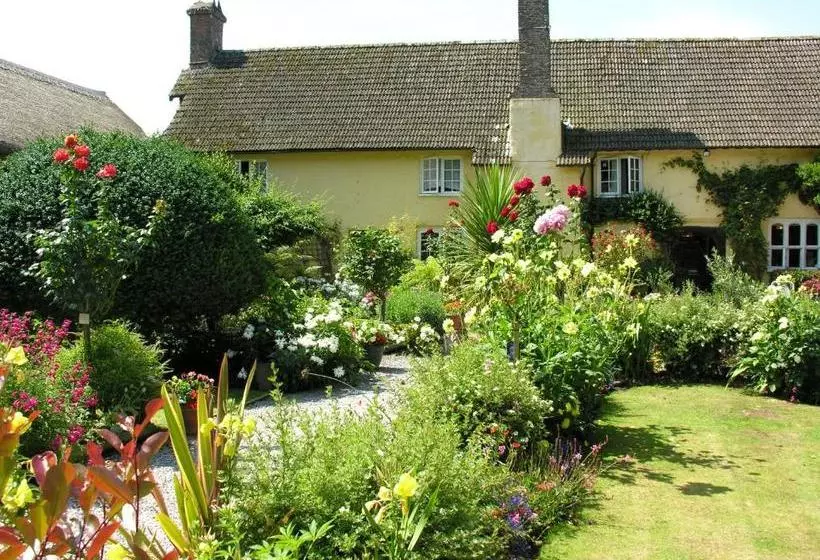 Пансион Exmoor Owl & Hawk Centre