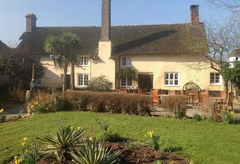 Пансион Exmoor Owl & Hawk Centre