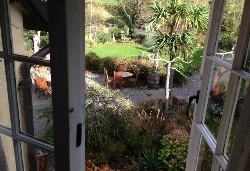 פנסיון Exmoor Owl & Hawk Centre