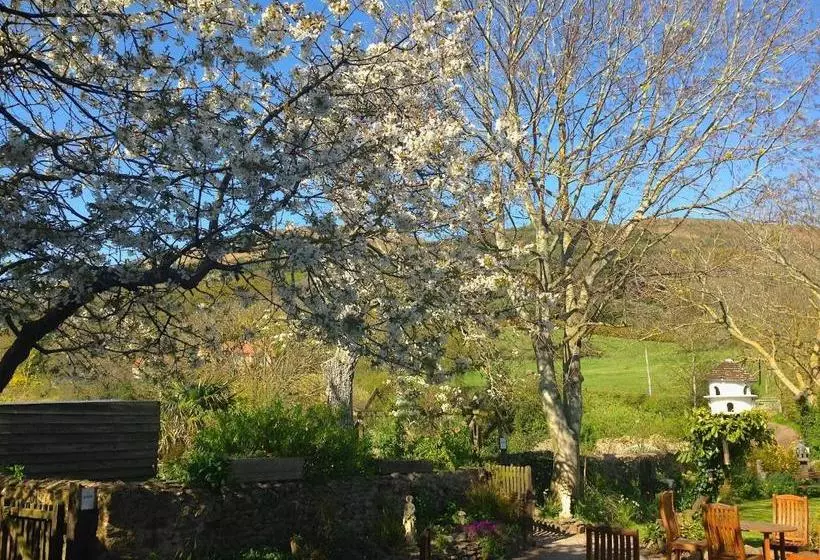 Пансион Exmoor Owl & Hawk Centre