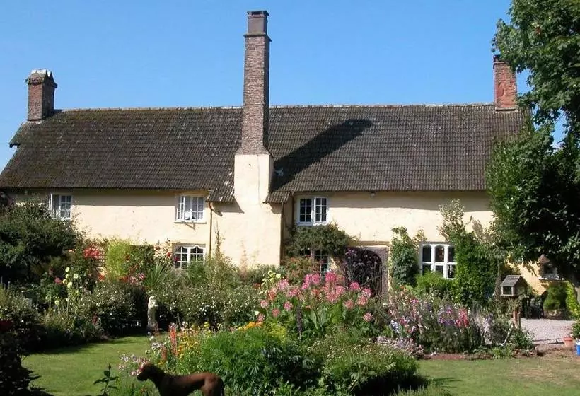 Пансион Exmoor Owl & Hawk Centre