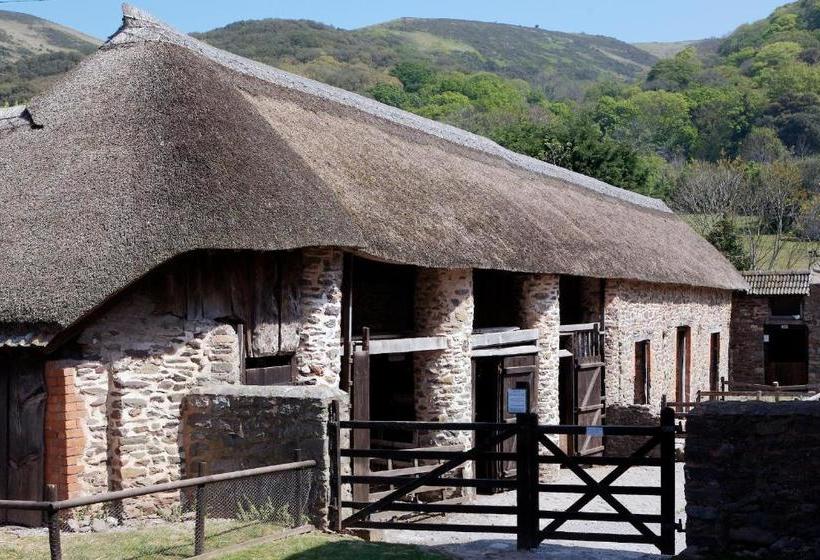 פנסיון Exmoor Owl & Hawk Centre