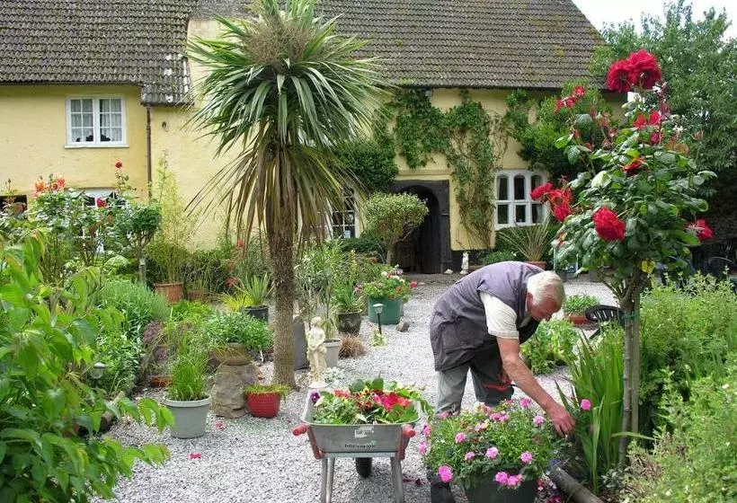 Пансион Exmoor Owl & Hawk Centre