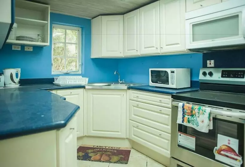 Seawind On The Bay   Apartments