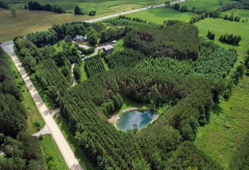 Bed and Breakfast Master Bedroom In A 150 Year Old Victorian House