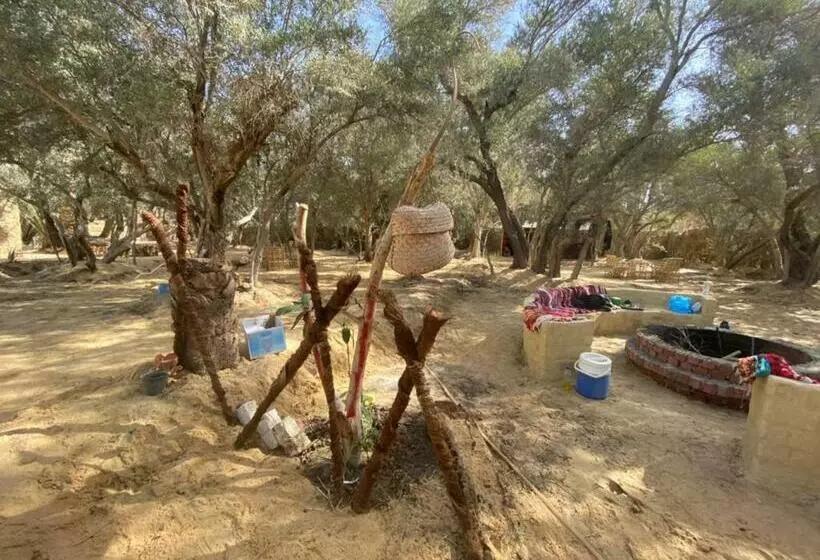 تختخواب و صبحانه Olive Garden House