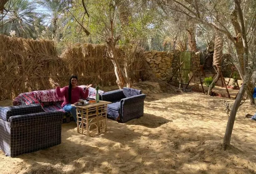 تختخواب و صبحانه Olive Garden House