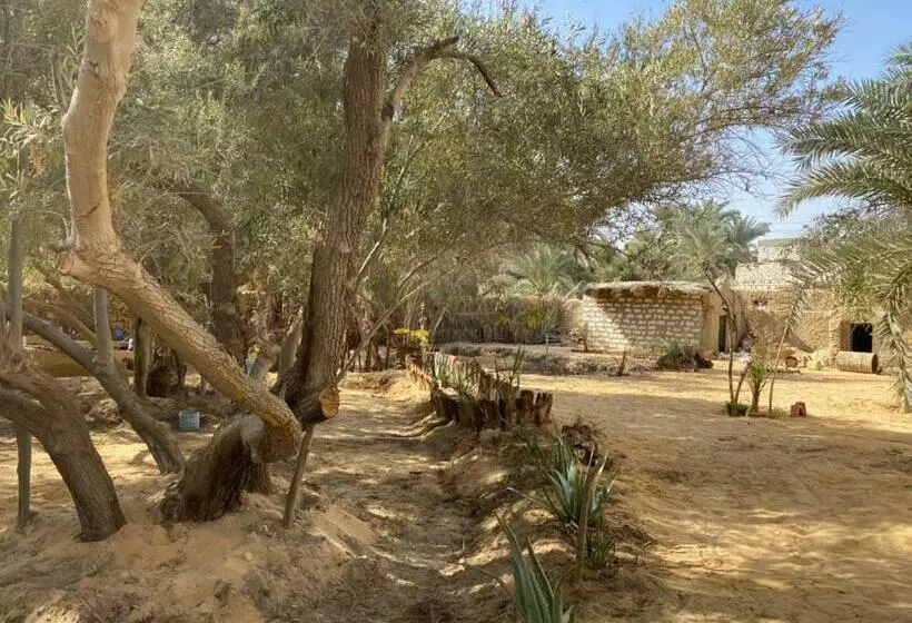 تختخواب و صبحانه Olive Garden House