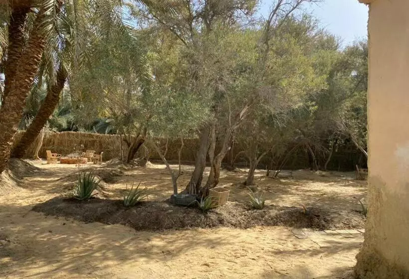 تختخواب و صبحانه Olive Garden House