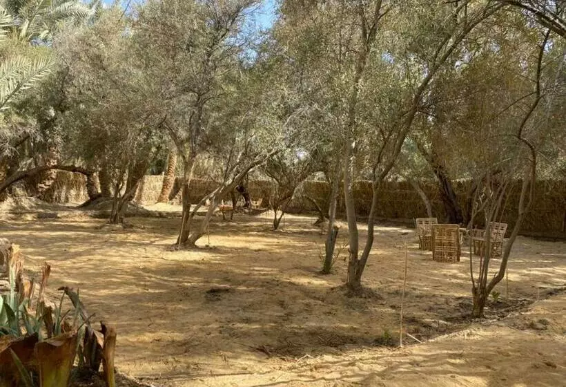 تختخواب و صبحانه Olive Garden House