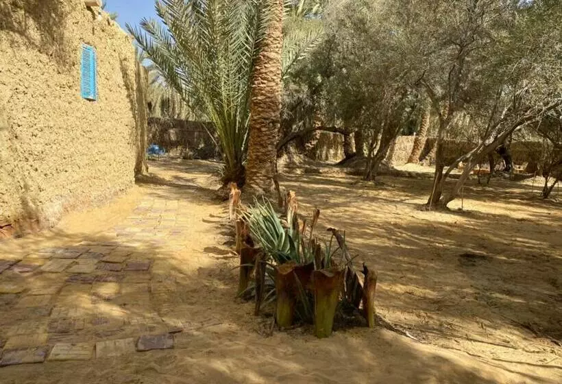 تختخواب و صبحانه Olive Garden House