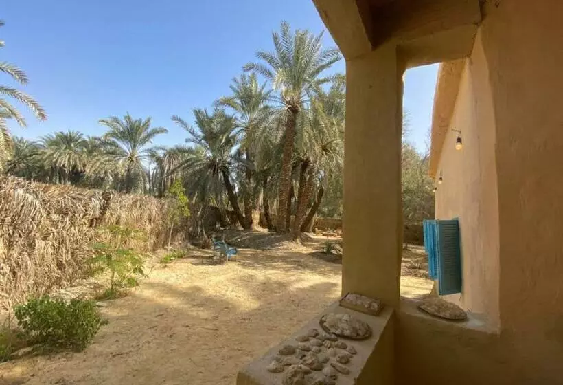 تختخواب و صبحانه Olive Garden House