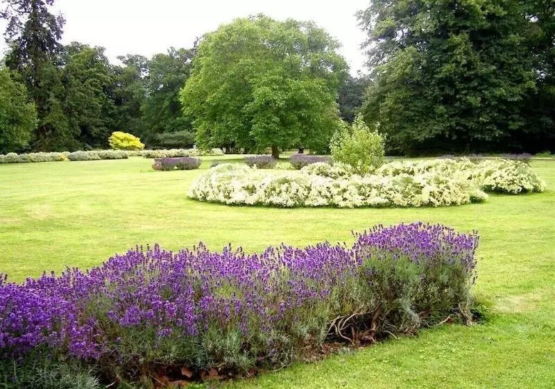 住宿加早餐  Thornham Hall