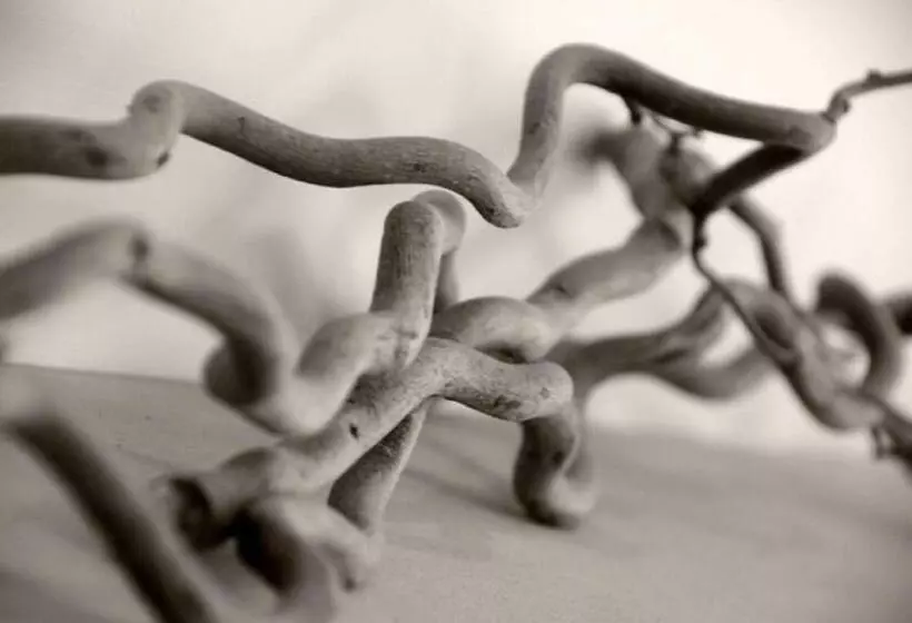 هتل The Frenchgate Restaurant &