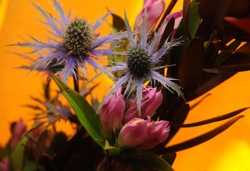 هتل The Frenchgate Restaurant &