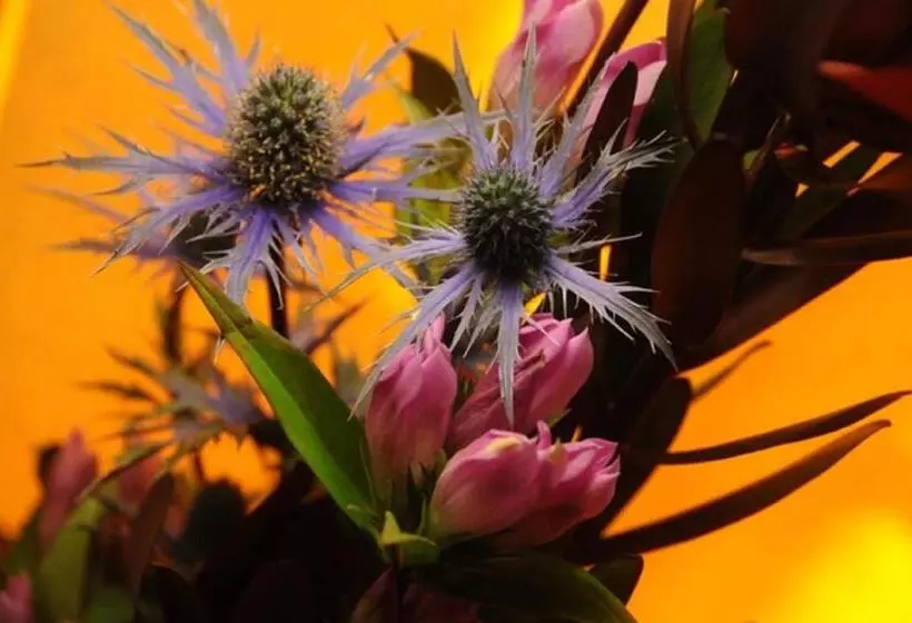 هتل The Frenchgate Restaurant &