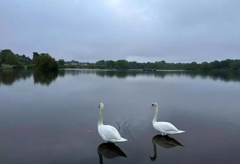 בית מלון כפרי The Old Drum