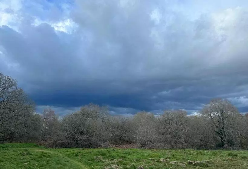 בית מלון כפרי The Old Drum