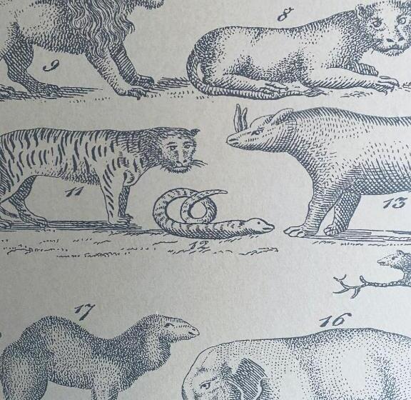 בית מלון כפרי The Old Drum