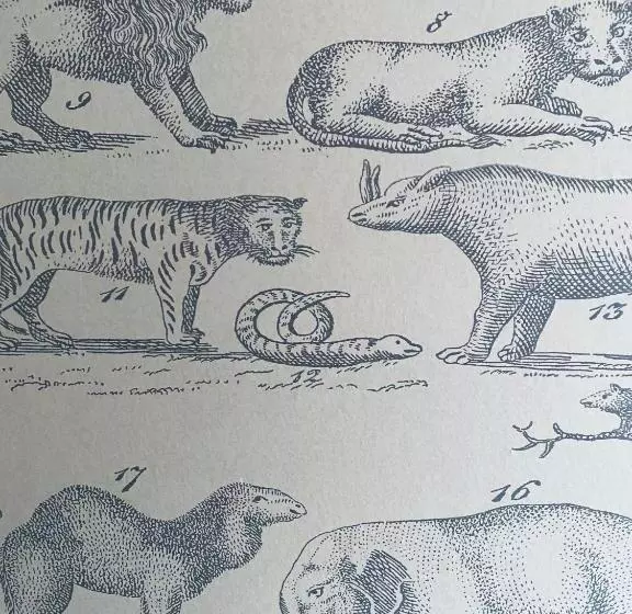 בית מלון כפרי The Old Drum