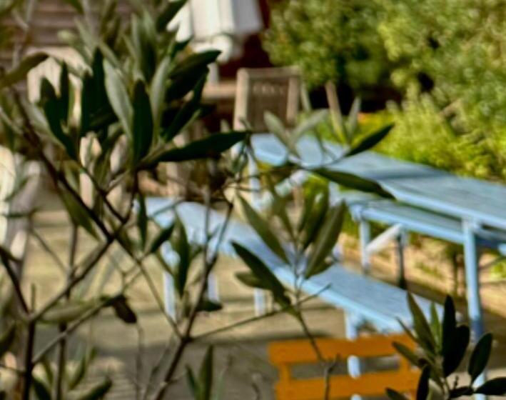 בית מלון כפרי The Old Drum