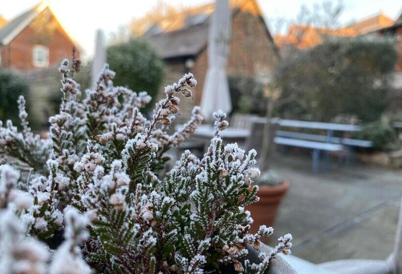 בית מלון כפרי The Old Drum