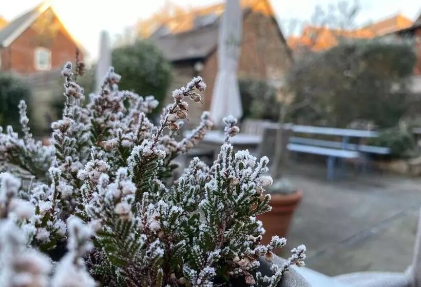 בית מלון כפרי The Old Drum