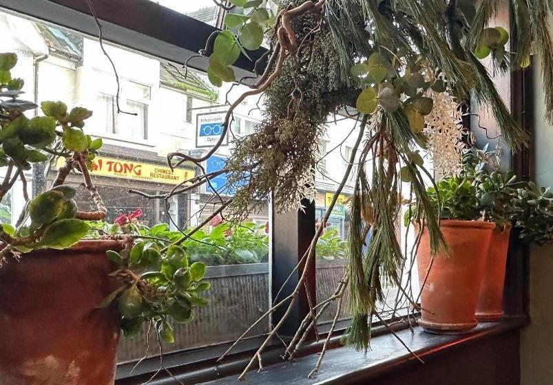 בית מלון כפרי The Old Drum