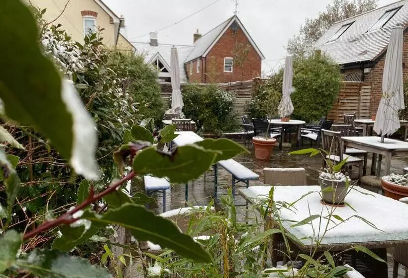 בית מלון כפרי The Old Drum