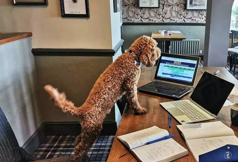 ホテル The Wheatsheaf