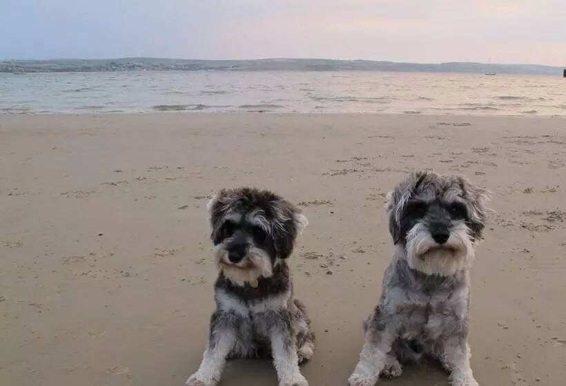 بنسيون Stone S Throw Guesthouse