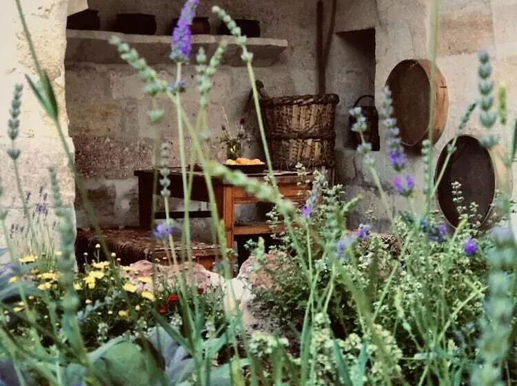 ホテル House 1938 Special Cave