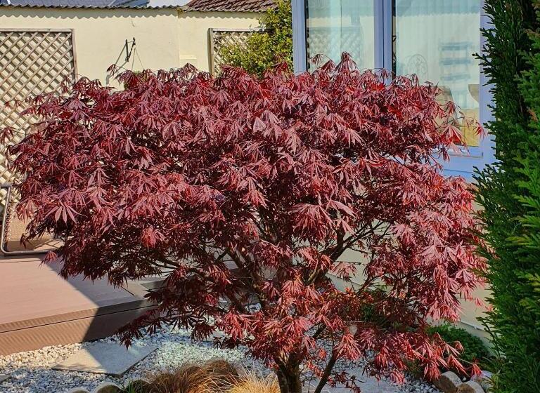 Eden S Rest Bed And Breakfast