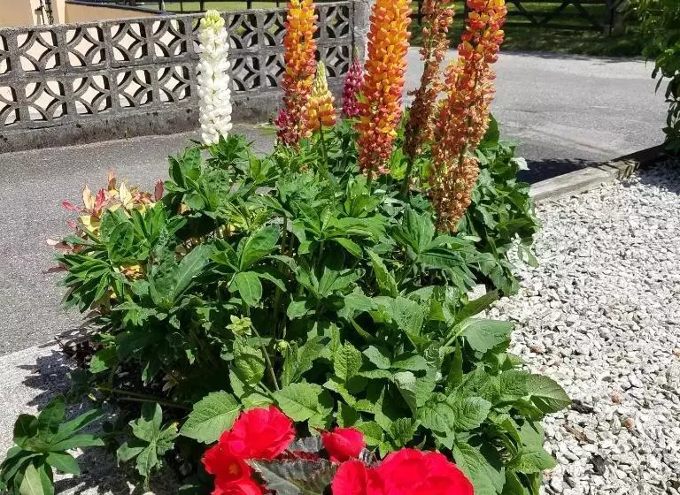 Eden S Rest Bed And Breakfast