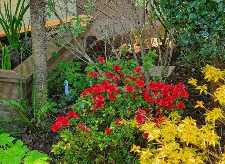 Eden S Rest Bed And Breakfast