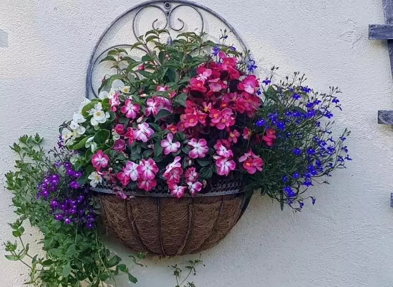 Eden S Rest Bed And Breakfast