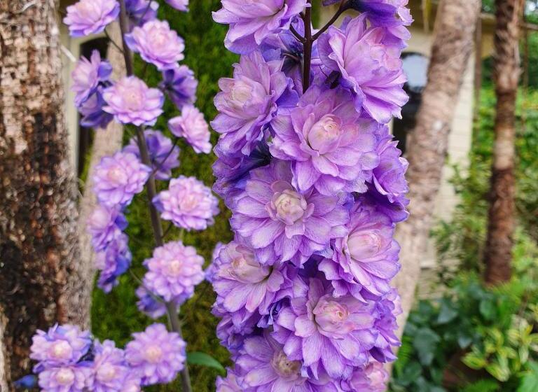 Eden S Rest Bed And Breakfast