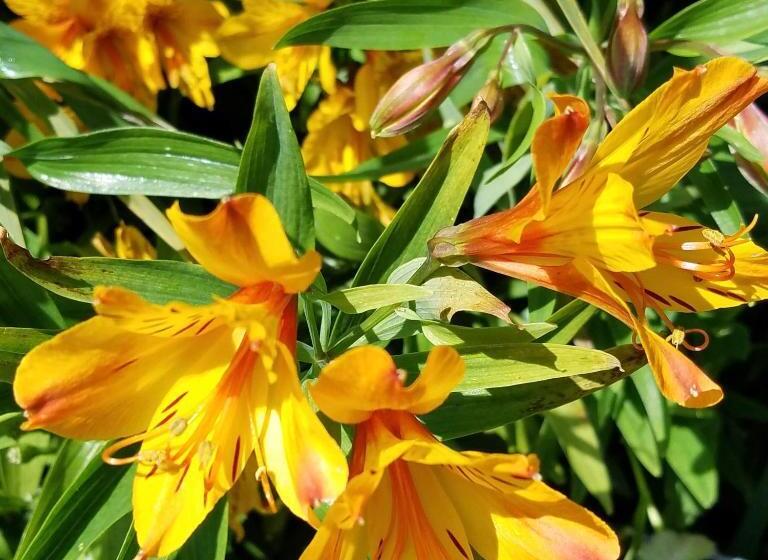 Eden S Rest Bed And Breakfast